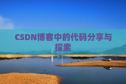 CSDN博客中的代码分享与探索